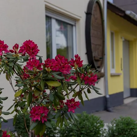 Ferienwohnungen Schorn Burg  Exterior foto