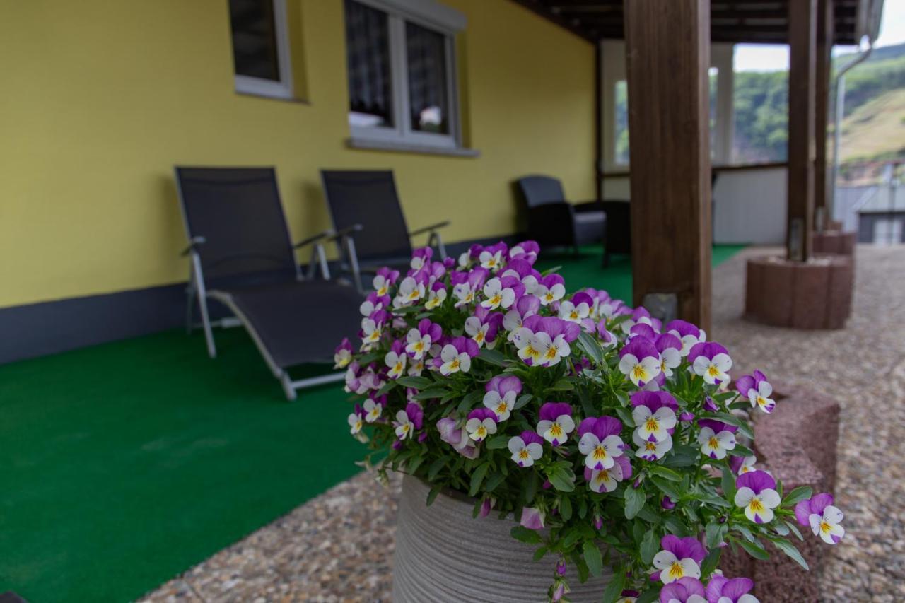 Apartment Schorn Burg (Bernkastel-Wittlich)